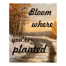 "BLOOM DONDE ESTÁS PLANTADO POSTER