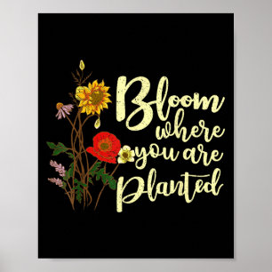 Póster Bloom Donde Te Plantan