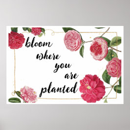 Póster Bloom Donde te plantan