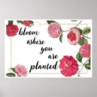 Póster Bloom Donde te plantan