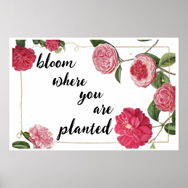 Póster Bloom Donde te plantan (Frente)