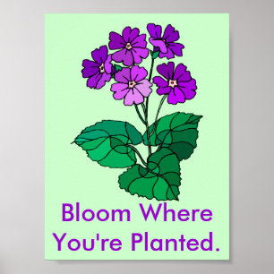 Póster Bloom donde te plantan Poster