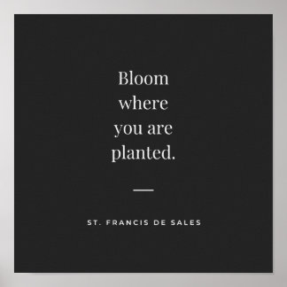 Póster Bloom en el que se ha plantado San Francisco de Ve