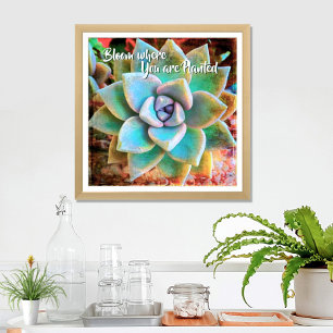 Póster Bloom fotográfico Cactus Verde Turquesa Donde Se P