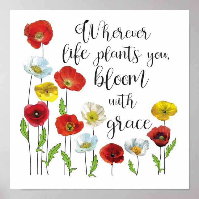 Póster Bloom with grace-Poppy flowers (Frente)