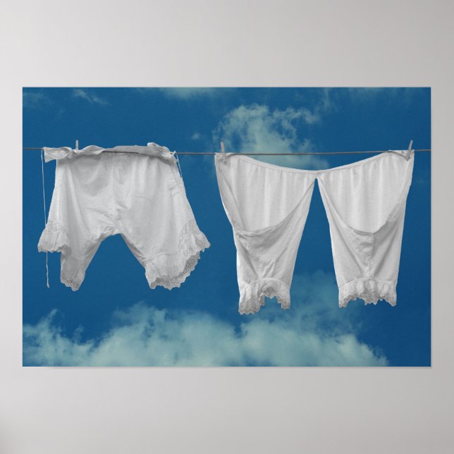 Póster Bloomeros (Frente)