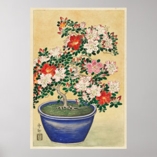 Póster Blooming Azalea