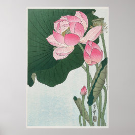 Póster Blooming Lotus