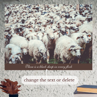 Póster Bloque de ovejas blancas y negras