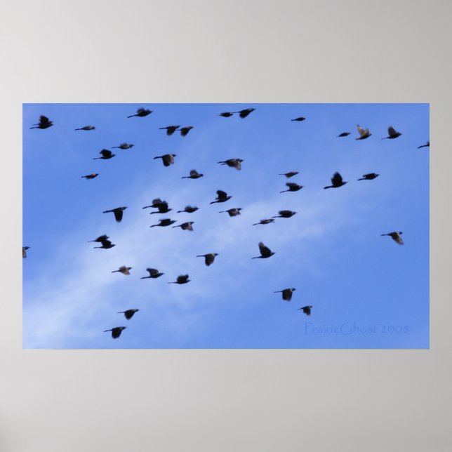 Póster Bloqueo 1 (Frente)