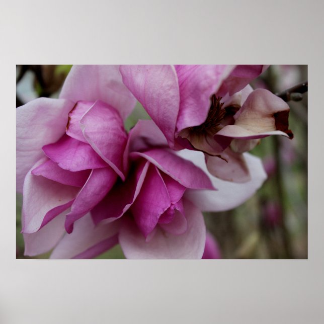 Póster Bloques morados (Frente)