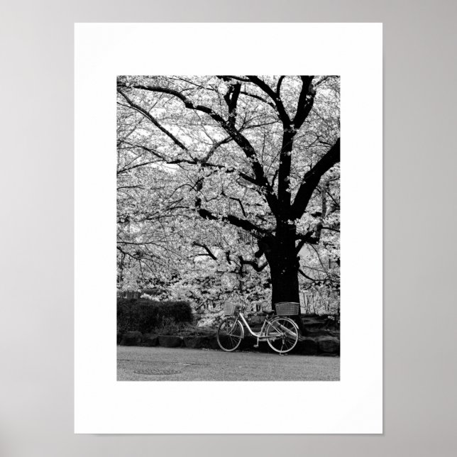 Póster Blossom & Bicycle: Japón (Frente)