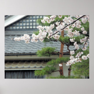 Póster Blossom in the Rain