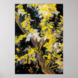 Póster Blossoming Acacia Branches (1890) Van Gogh Art