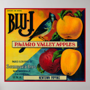 Póster Blu-J Apple Crate LabelWatsonville, CA