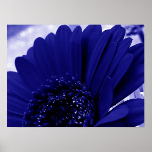 Póster Blue