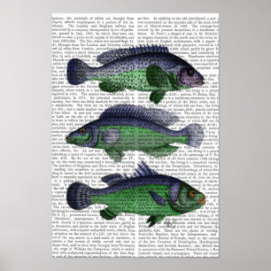 Póster Blue and Green Fish Trio