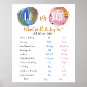 Póster Blue and Pink He or She Old Wives Tale Poster