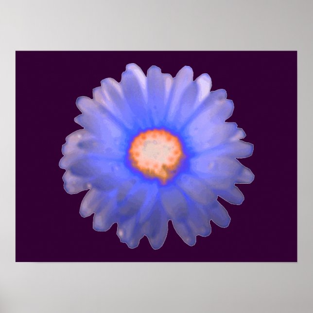 Póster Blue and Red Marigold Poster (Frente)