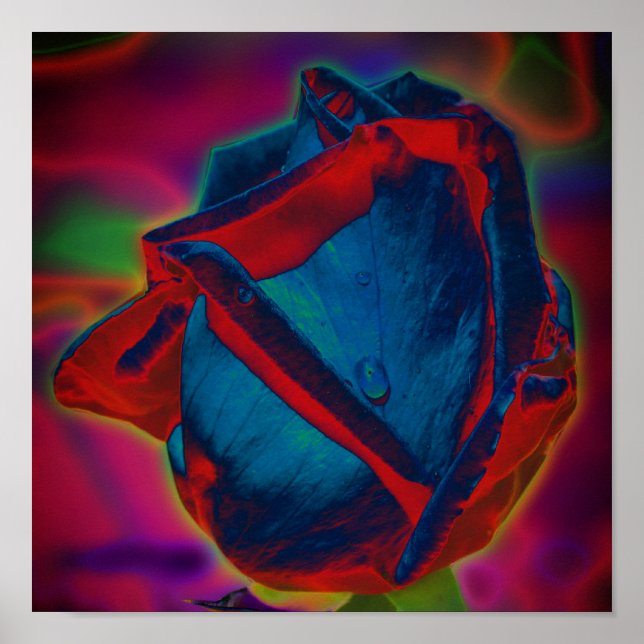 Póster Blue And Red Rosebud Raindrop Abstract Floral (Frente)