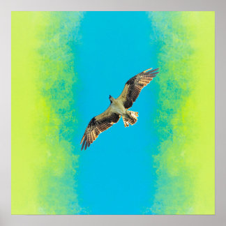 Póster Blue and yellow