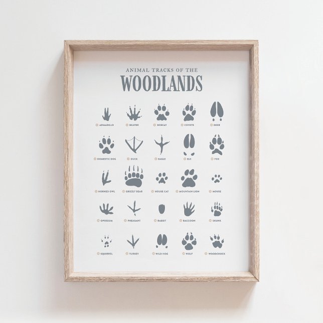 Póster Blue Animal Tracks Woodland Nursery Decour (Subido por el creador)