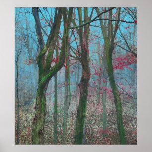 Póster Blue Autumn
