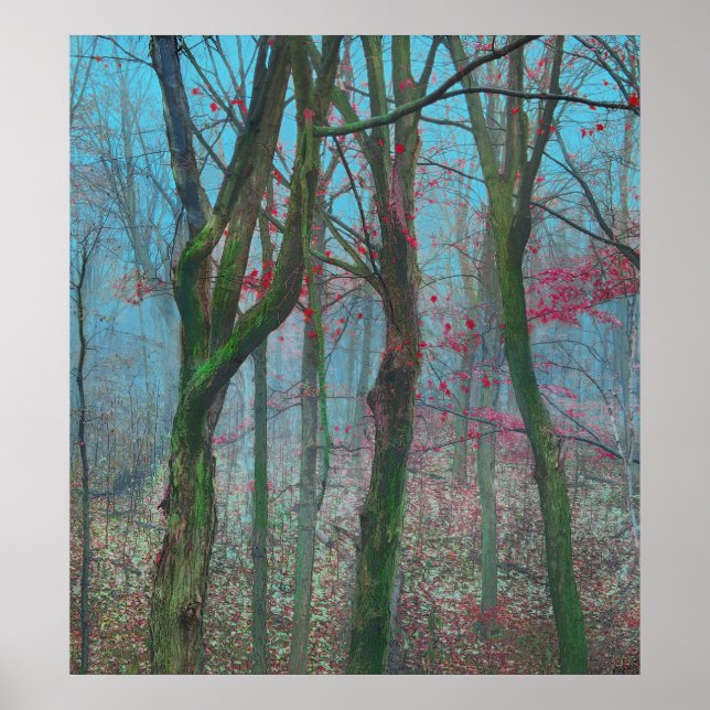 Póster Blue Autumn (Frente)