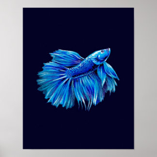 Póster Blue Betta Fish on Navy |Aquarium Lover