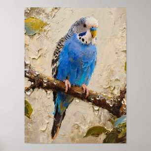 Póster Blue Budgie