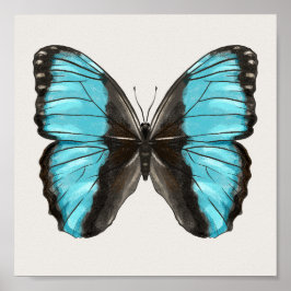 Póster Blue Butterfly Insectos Art Nature Lover