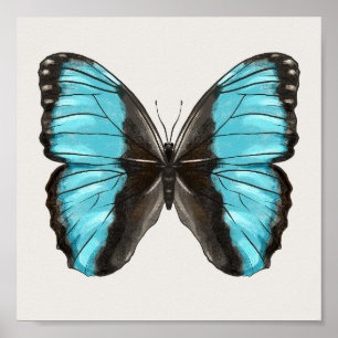 Póster Blue Butterfly Insectos Art Nature Lover