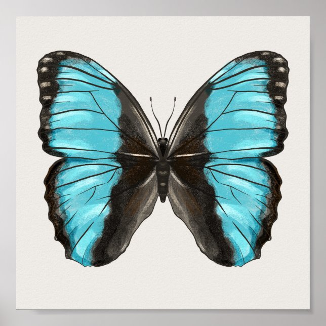 Póster Blue Butterfly Insectos Art Nature Lover (Frente)