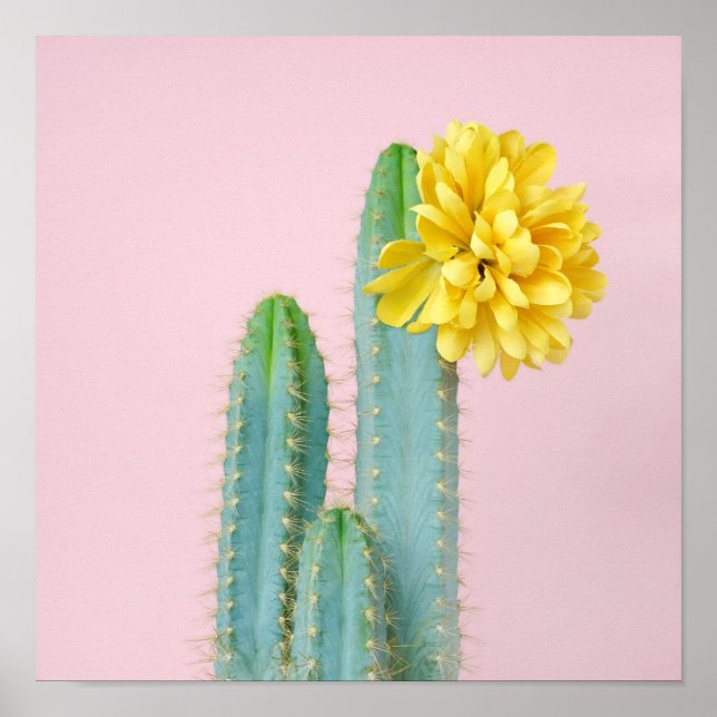 Póster Blue Cactus Trio (Frente)