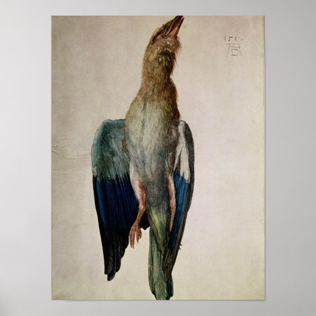 Póster Blue Crow, 1512 (Frente)