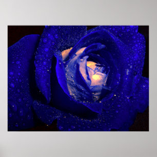 Póster blue diamonds