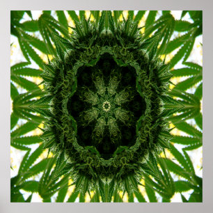 Póster Blue Dream Mandala...