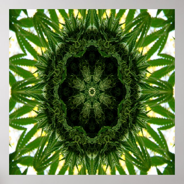 Póster Blue Dream Mandala... (Frente)