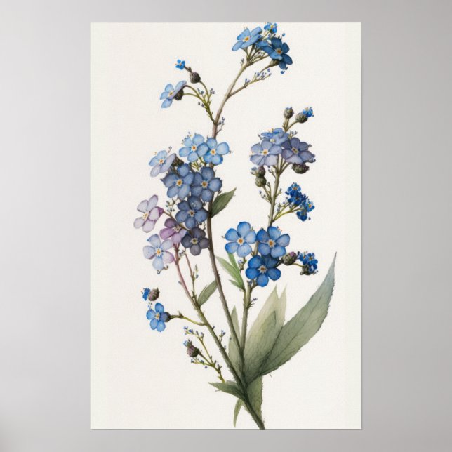 Póster Blue Forget Me Nots Flower Art Print Poster (Frente)