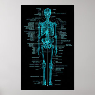 Póster blue-green skeleton poster