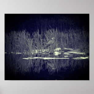 Póster Blue Heron Reflations Bird Black And White