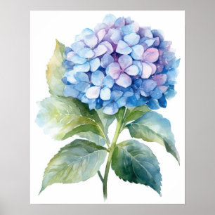 Póster Blue Hydrangea Flower Art Print Poster