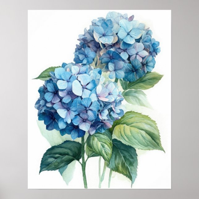 Póster Blue Hydrangea Flowers Art Print Poster (Frente)