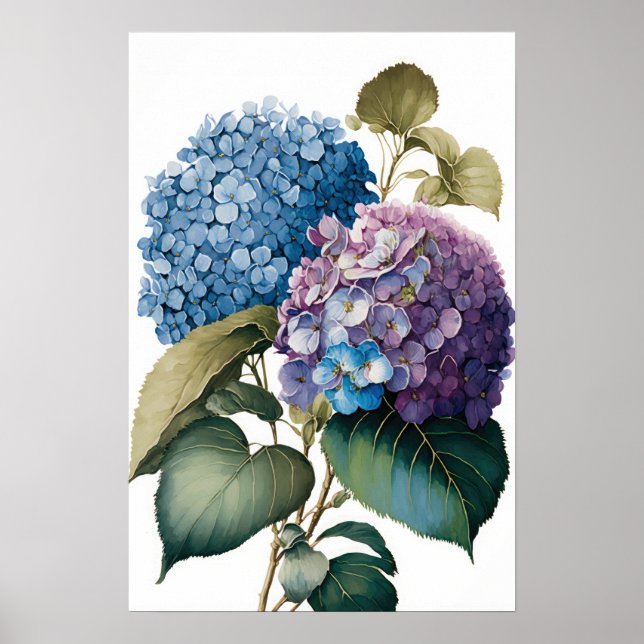 Póster Blue Hydrangea Flowers Art Print Poster (Frente)