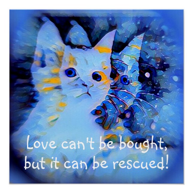 Póster Blue Impresionist Style Kitten Rescue Love Cita (Anverso)
