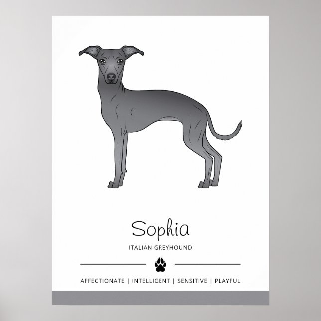 Póster Blue Italian Greyhound Cute Dog Con Texto Personal (Frente)