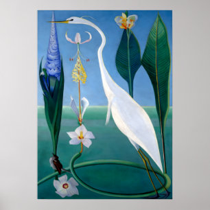 Póster Blue Jays In Winter por Abbott Handerson Thayer