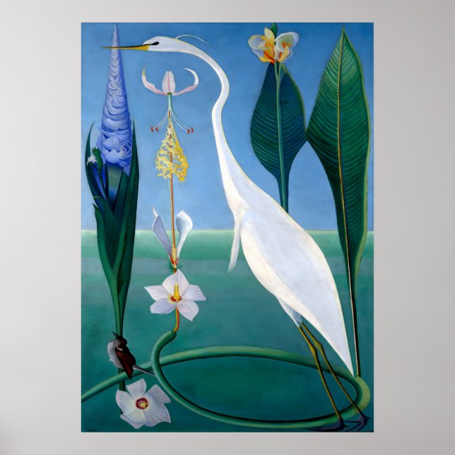 Póster Blue Jays In Winter por Abbott Handerson Thayer (Frente)