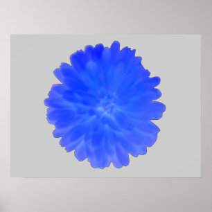 Póster Blue Marigold Poster