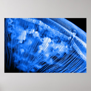 Póster Blue Moon Rising